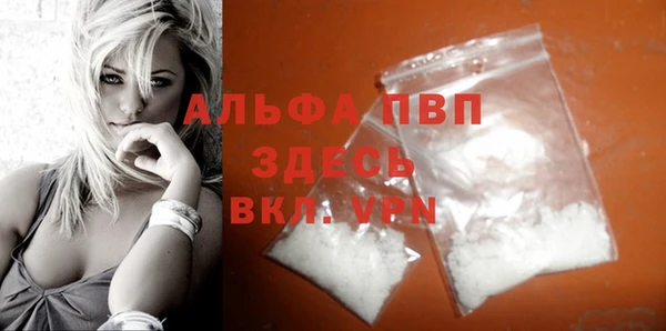 молекула духа Алапаевск