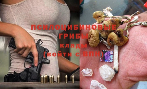 гидропоника Надым
