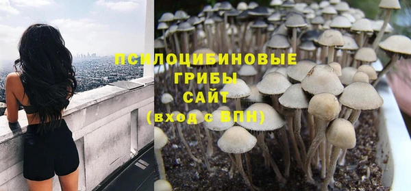 дживик Наволоки