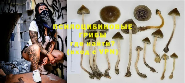 гидропоника Надым